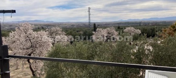 4 bedrooms House in Baza, Spain No. 10159 13