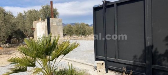 4 bedrooms House in Baza, Spain No. 10159 27