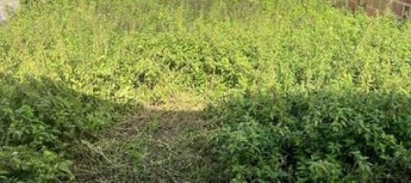 300m² Office in Seine-Maritime, France No. 309213 7