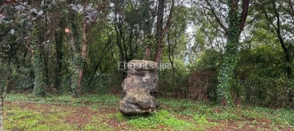 5 bedrooms House in Basque Autonomous Community, Spain No. 159610 28