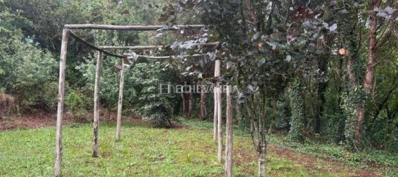 5 bedrooms House in Basque Autonomous Community, Spain No. 159610 27