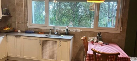 5 bedrooms House in Basque Autonomous Community, Spain No. 159610 14