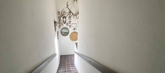 5 rooms House in Ulrichskirchen-Schleinbach, Austria No. 235603 3