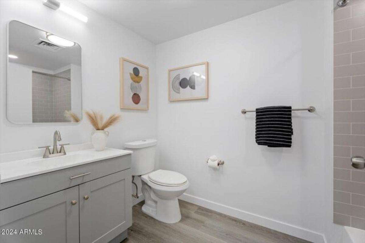 استوديو في Scottsdale, USA رقم 416231