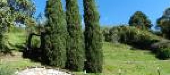 2 bedrooms House in Forte dei Marmi, Italy No. 227914 3