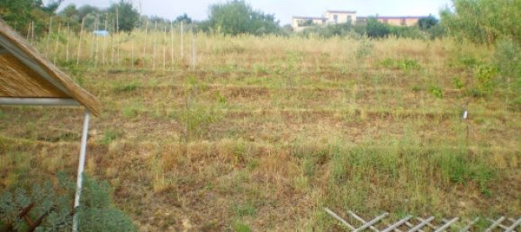 2 bedrooms House in Forte dei Marmi, Italy No. 227914 43