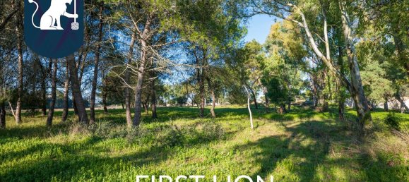 15 rooms Villa in Lecce, Italy No. 170877 43