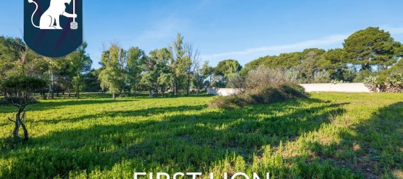 15 rooms Villa in Lecce, Italy No. 170877 41