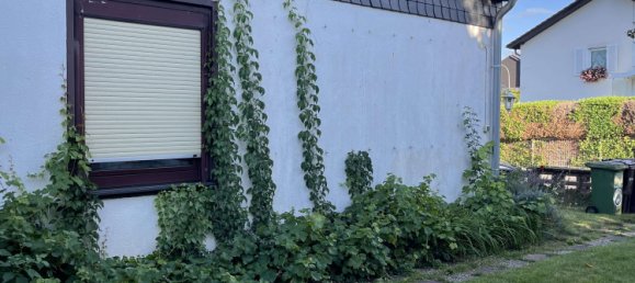 3 bedrooms Bungalow in Offenbach, Germany No. 310744 9