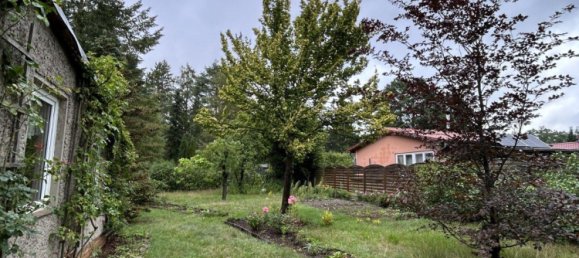  Land in Oberhavel, Germany No. 258200 5