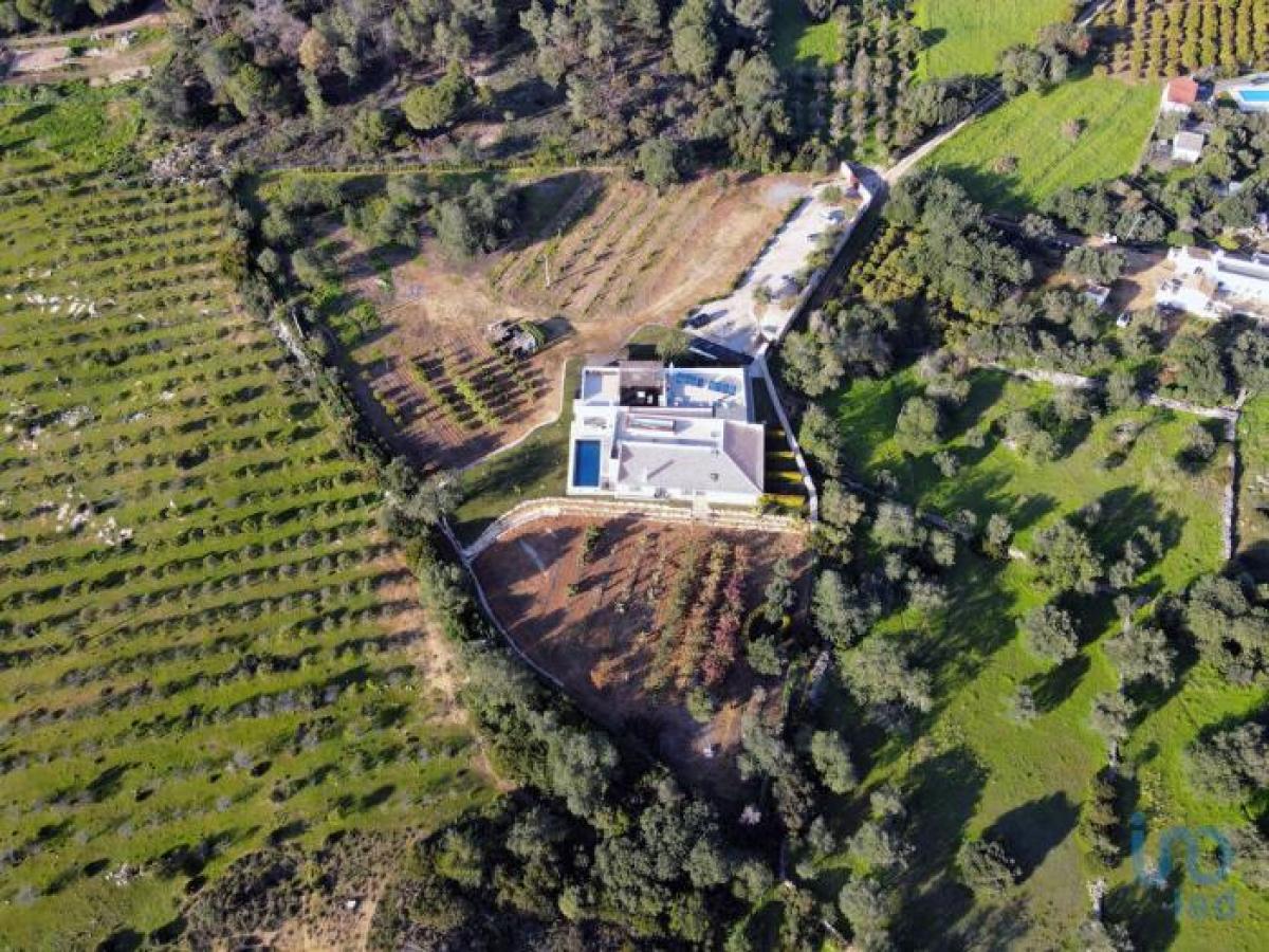 9 غرف نوم منزل في Faro, Portugal رقم 6293