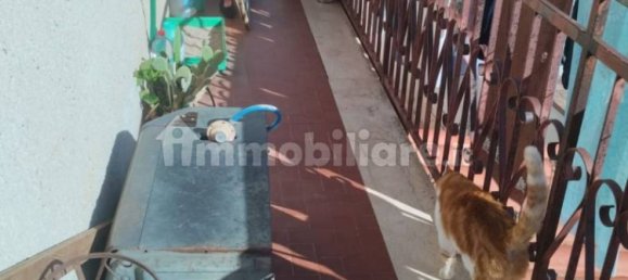 3 chambres Appartement à Palermo, Italy No. 142845 13