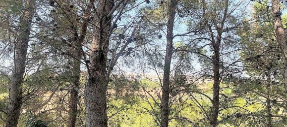 5 bedrooms House in Alicante, Spain No. 164082 14