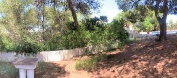 5 bedrooms House in Alicante, Spain No. 164082 12