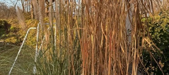 5-Zimmer Haus in Schleswig-Holstein, Germany, Nr. 39196 2