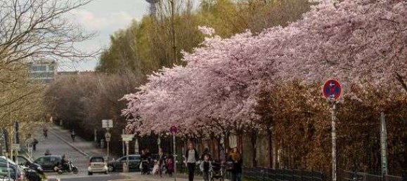 Apartamento de 3 divisões em Prenzlauer Berg, Germany N.º 299071 15