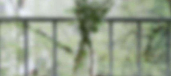 Apartamento de 3 divisões em Prenzlauer Berg, Germany N.º 299071 25