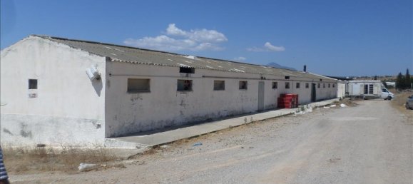 فندق في Megara, Greece 22000متر مربع رقم 6691 4
