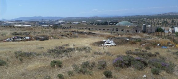 فندق في Megara, Greece 22000متر مربع رقم 6691 6