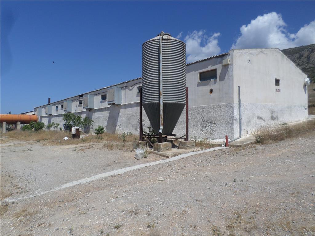 Hotel em Megara, Greece 22000 m² N.º 6691