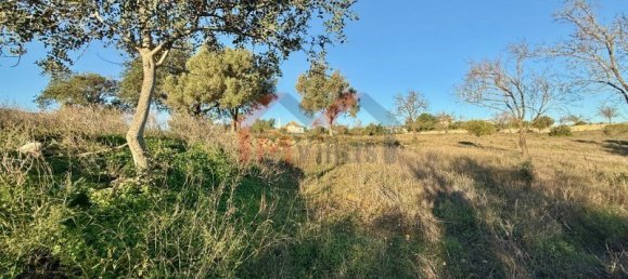 9770m² Land in Faro, Portugal No. 120275 2