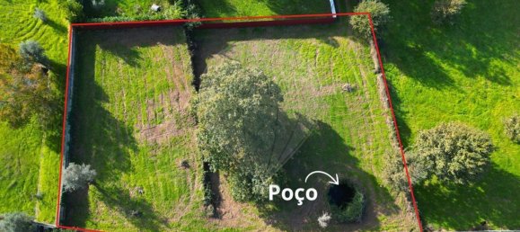  Land in Canas de Santa Maria, Portugal No. 190390 6