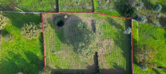  Land in Canas de Santa Maria, Portugal No. 190390 7