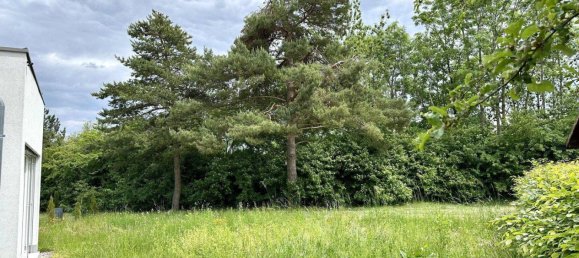 Дом с 8 комнатами в Вельс, Австрия № 72599 23