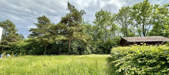 Дом с 8 комнатами в Вельс, Австрия № 72599 21