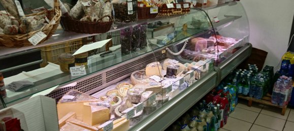 168m² Commercial property in Ain, France No. 240637 5