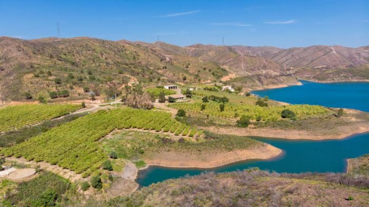 13 bedrooms Villa in Silves, Portugal No. 3165