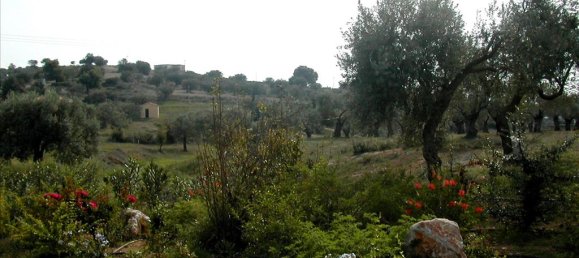 44600m² Hotel in Kranidi, Greece No. 7024 12