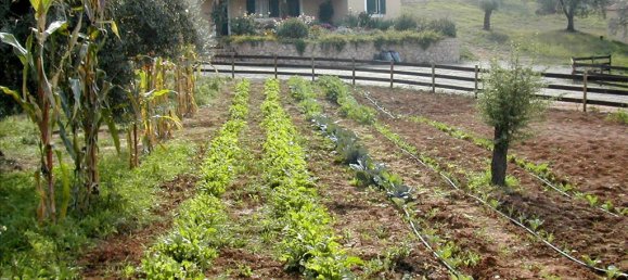 44600m² Hotel in Kranidi, Greece No. 7024 11