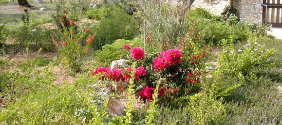 44600m² Hotel in Kranidi, Greece No. 7024 14