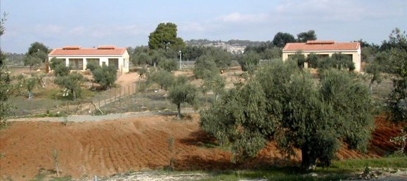 44600m² Hotel in Kranidi, Greece No. 7024 6