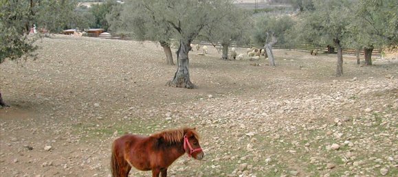 44600m² Hotel in Kranidi, Greece No. 7024 15