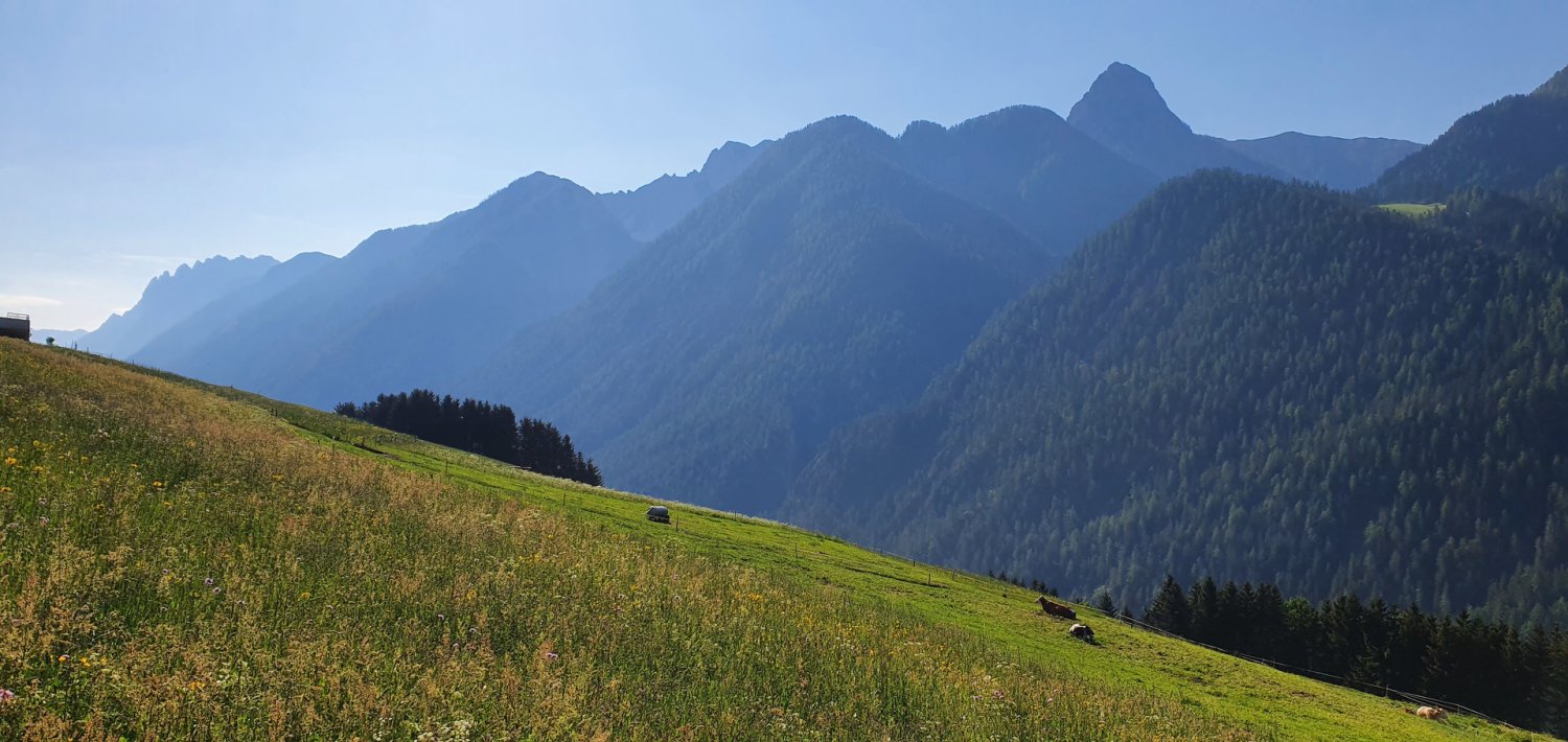 6-salle Maison à Anras, Austria No. 252870