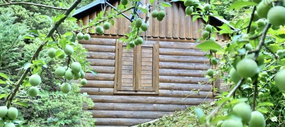 1 غرف نوم قطعة أرض في Trieben, Austria رقم 137737 3