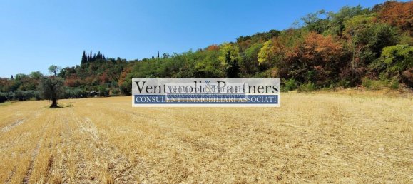 Terrain à Polpenazze del Garda, Italy 13000m² No. 106585 4