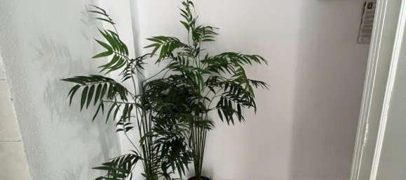 Apartamento T2 em Andalusia, Spain N.º 170337 21