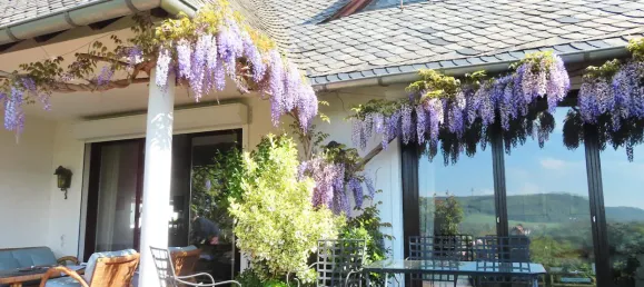 11 rooms Townhouse in Bad Kreuznach, Germany No. 364487 5