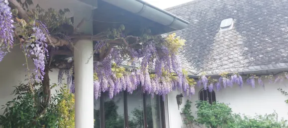 11 rooms Townhouse in Bad Kreuznach, Germany No. 364487 4