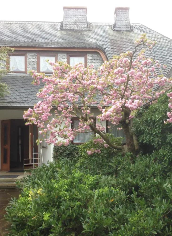 11 rooms Townhouse in Bad Kreuznach, Germany No. 364487