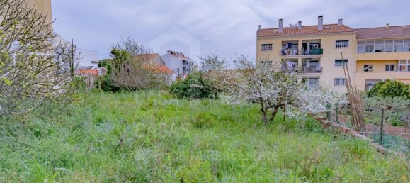 417m² Land in Mafra, Portugal No. 74032 5