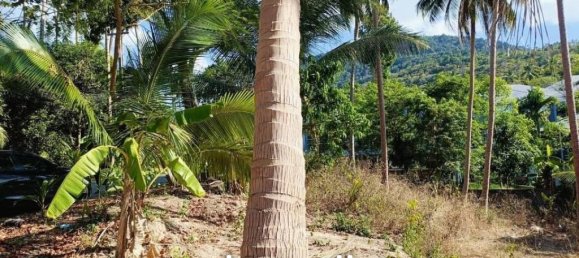 Gewerbliche Immobilie in Ko Samui, Thailand, Nr. 19965 3