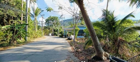 Gewerbliche Immobilie in Ko Samui, Thailand, Nr. 19965 2