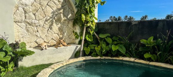 4 bedrooms Villa in Tabanan, Indonesia No. 3697 6