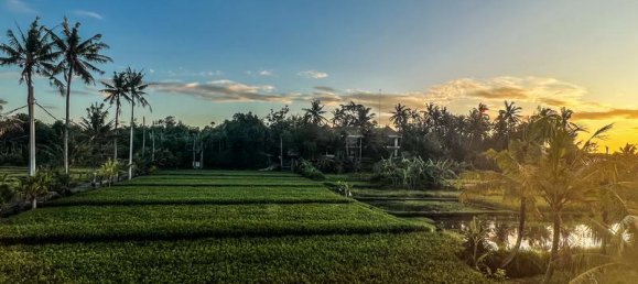 4 bedrooms Villa in Tabanan, Indonesia No. 3697 4