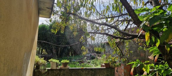 Casa de 3 dormitorios en Agueda, Portugal No. 20835 11