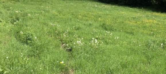 Terreno en Gosting, Austria No. 128100 6